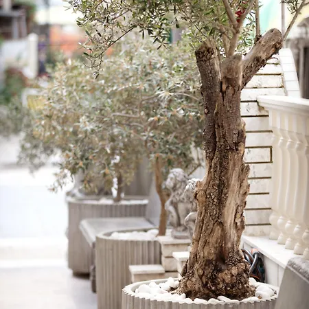 Parthenon Art 3* Olympiakí Aktí