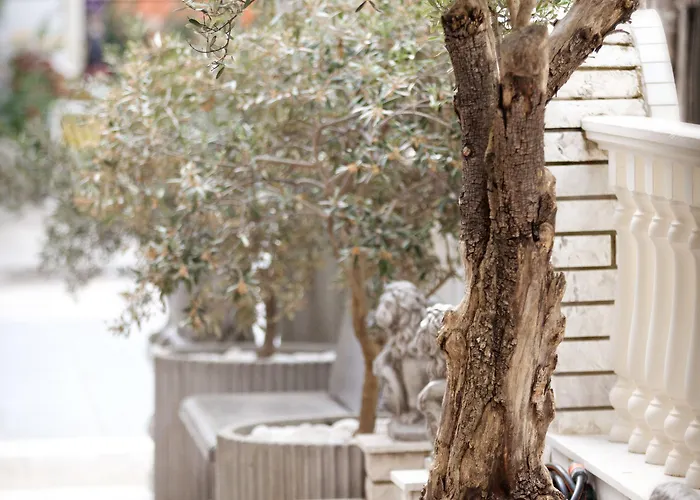 Parthenon Art 3* Olympiakí Aktí